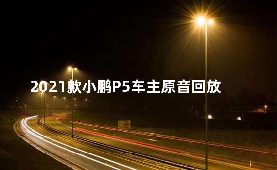 2021款小鹏P5车主原音回放 再现调查现场